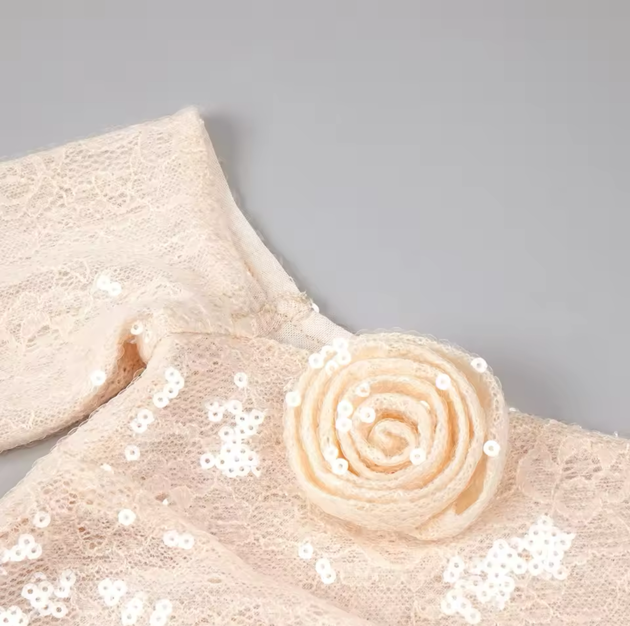 Laili long sleeve sequins lace dress