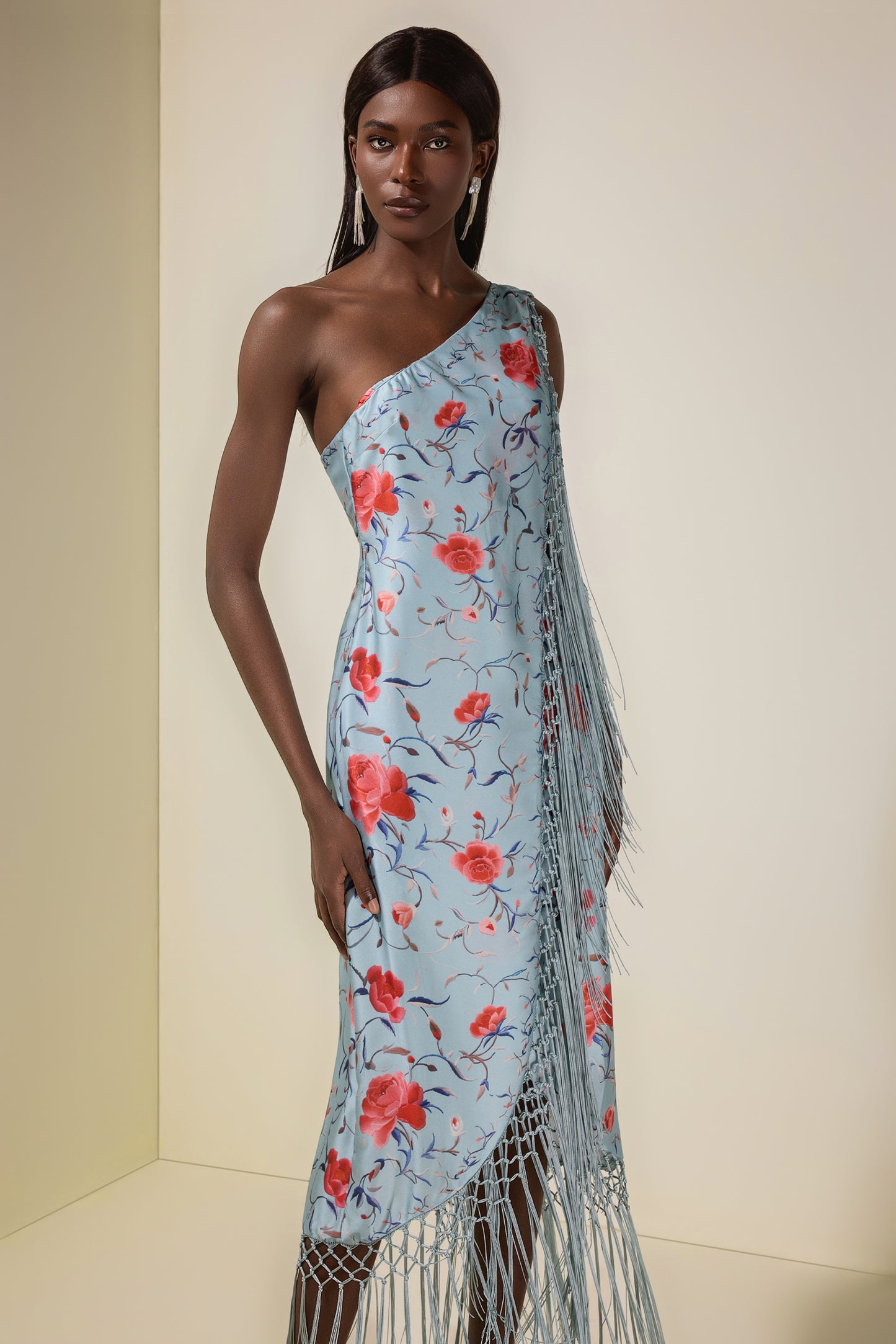 Zareen asymmetrical fringe dress