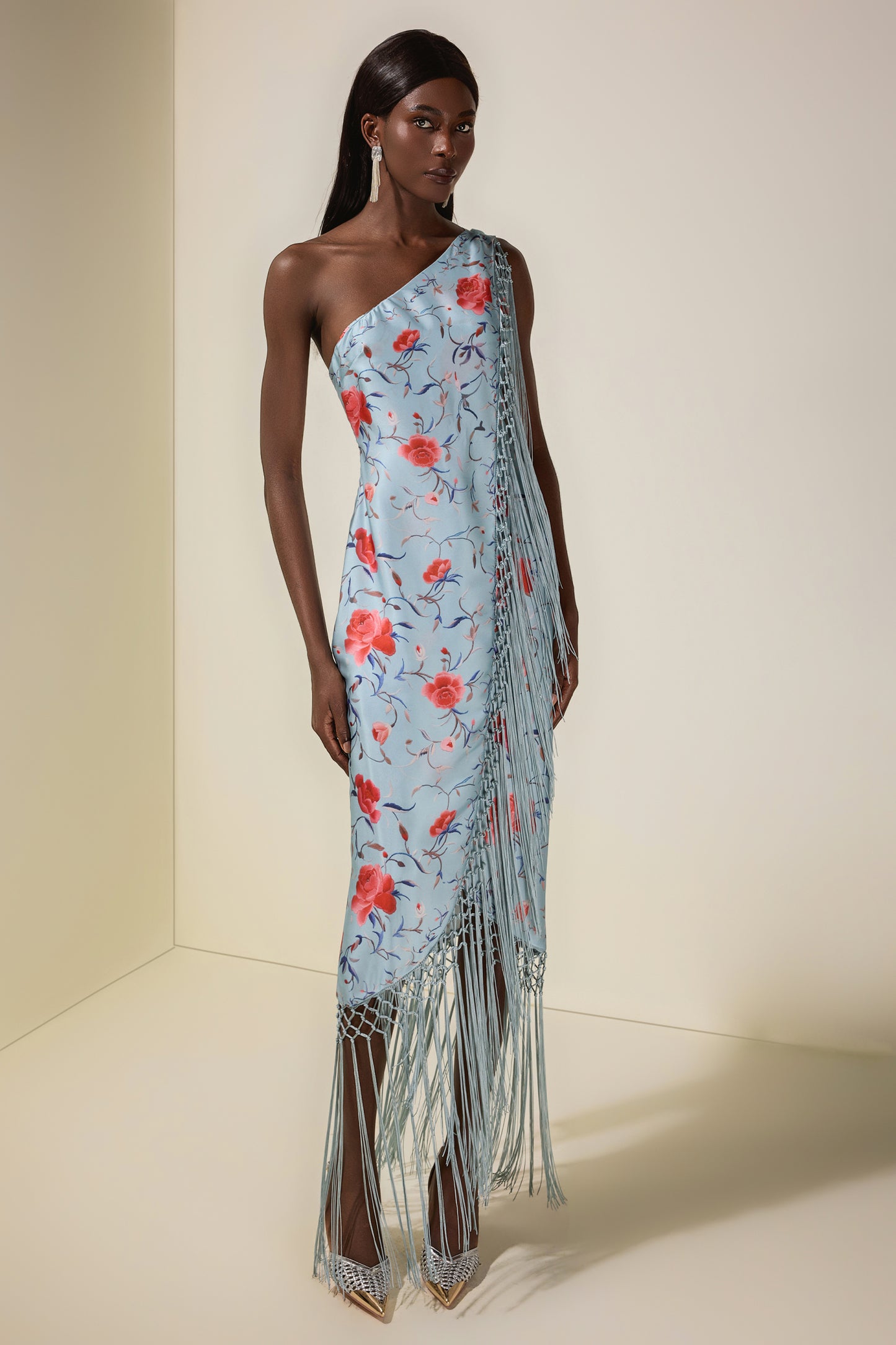 Zareen asymmetrical fringe dress